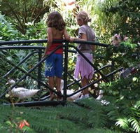 EG Waterhouse National Camellia Garden - Accommodation Newcastle