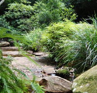 Forest path - Accommodation Newcastle