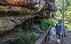 Aboriginal Heritage Walk - thumb 0