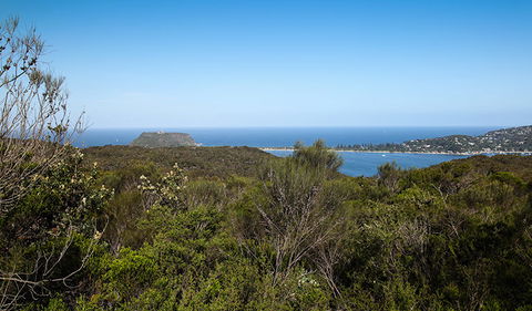 Aboriginal Heritage Walk - Accommodation Newcastle 1