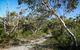 Aboriginal Heritage Walk - thumb 2