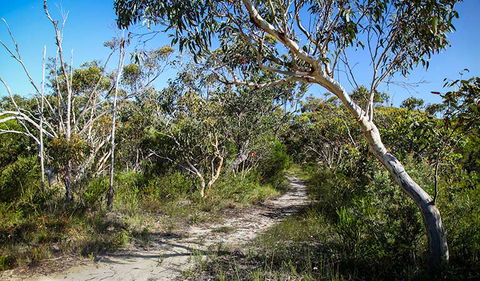 Aboriginal Heritage Walk - Accommodation Newcastle 2