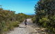 Aboriginal Heritage Walk - thumb 3