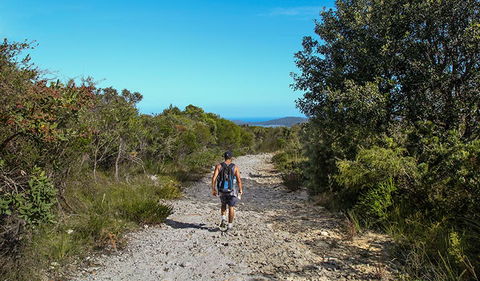 Aboriginal Heritage Walk - Accommodation Newcastle 3