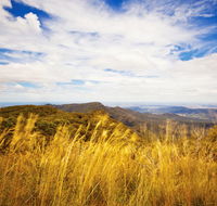 Muogamarra Nature Reserve - Accommodation Newcastle