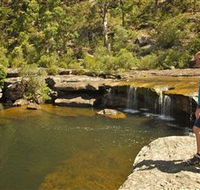 Keith Longhurst Reserve - Accommodation Newcastle