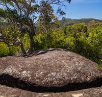 Marramarra Ridge to Smugglers Ridge walking track - Accommodation Newcastle