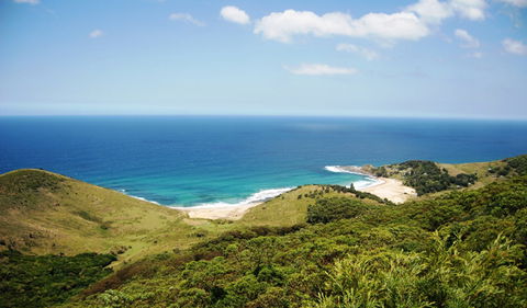 Governor Game Lookout - Accommodation Newcastle 1