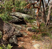 Box Head track - Accommodation Newcastle