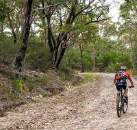 Cawleys Road trail - Accommodation Newcastle