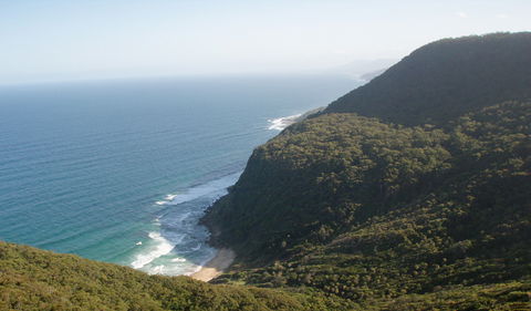 Palm Jungle Loop Track - Accommodation Newcastle 1