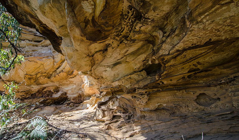 Canoelands NSW Accommodation Newcastle