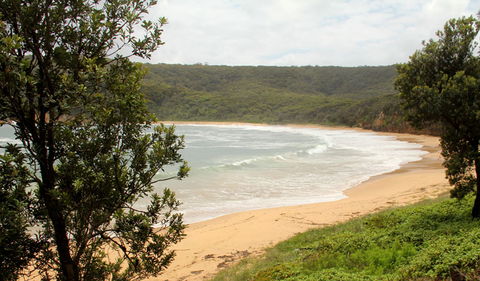 Maitland Bay Track - Accommodation Newcastle 0