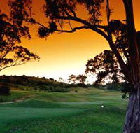Macarthur Grange Country Club - Accommodation Newcastle
