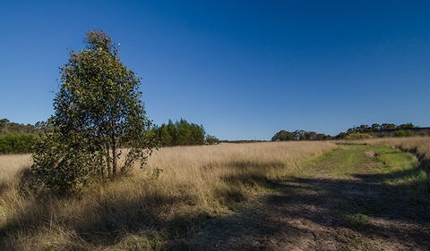 Scheyville Horse Riding Trails - Accommodation Newcastle 0