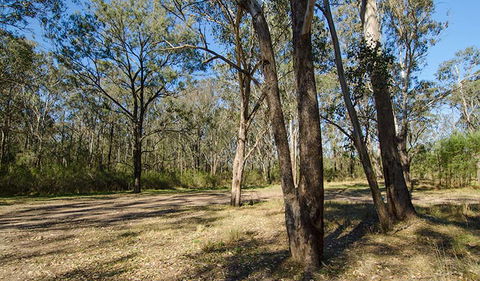 Scheyville Horse Riding Trails - Accommodation Newcastle 1