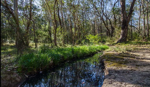 Scheyville Horse Riding Trails - Accommodation Newcastle 2