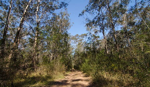 Scheyville Horse Riding Trails - Accommodation Newcastle 3
