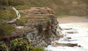 Bouddi coastal walk