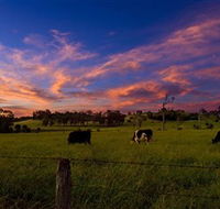 Made in Macarthur Food and Wine Tours - Accommodation Newcastle