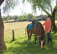 Sugarloaf Horse Centre - Accommodation Newcastle