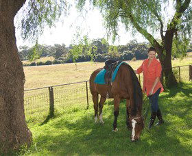 Sugarloaf Horse Centre - Accommodation Newcastle 0