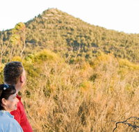 Piles Creek loop - Accommodation Newcastle