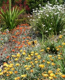 Mt Penang Gardens - Accommodation Newcastle 4