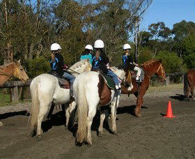 Darkes Forest NSW Accommodation Newcastle