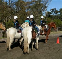 Darkes Forest Riding Ranch - Accommodation Newcastle
