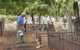 Stories Of The Everyday Interpretive Trail - West Terrace Cemetery - thumb 2
