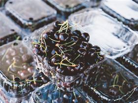 Adelaide Farmers' Market Showground - Accommodation Newcastle 1