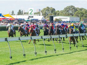 Morphettville Racecourse - Accommodation Newcastle 0