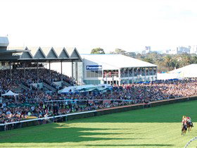 Morphettville Racecourse - Accommodation Newcastle 1