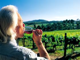 Ashton Hills Vineyard - Accommodation Newcastle 0