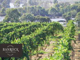 Banrock Station Wine And Wetland Centre - Accommodation Newcastle 0