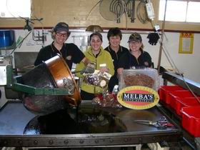 Melba's Chocolate And Confectionery Factory - Accommodation Newcastle 1