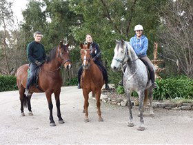 Academy Of Dressage - Accommodation Newcastle 0