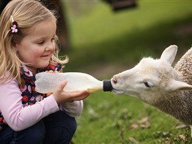 Hahndorf Farm Barn - Accommodation Newcastle 0