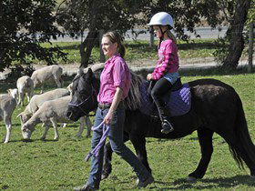 Hahndorf Farm Barn - Accommodation Newcastle 2