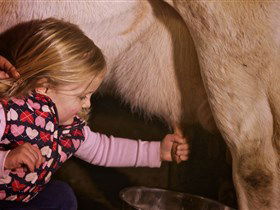 Hahndorf Farm Barn - Accommodation Newcastle 1