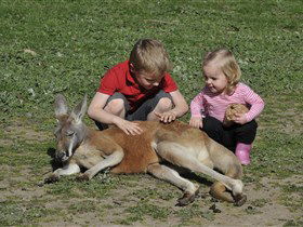 Hahndorf Farm Barn - Accommodation Newcastle 3