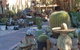 Cactus Creations - thumb 0