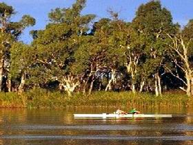 Martin Bend Reserve - Accommodation Newcastle 0
