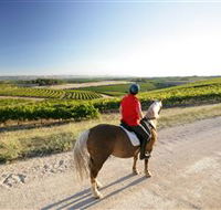 Kidman Trail - Accommodation Newcastle