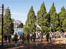 Macclesfield ANZAC Memorial Gardens - Accommodation Newcastle 1