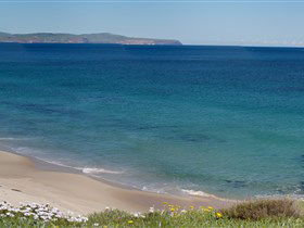 Carrickalinga Beach - Accommodation Newcastle 1