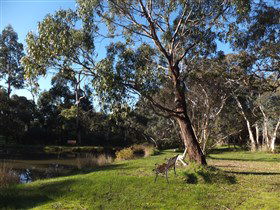 Mount Compass And District Produce And Tourist Trail - Accommodation Newcastle 3