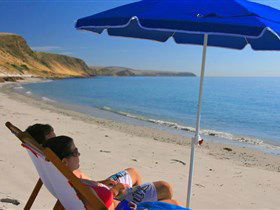 Lady Bay Beach - Accommodation Newcastle 0