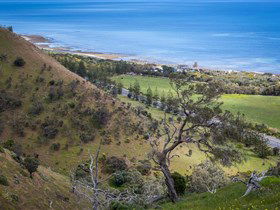 Lady Bay Beach - Accommodation Newcastle 1